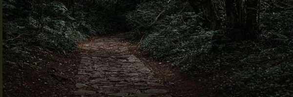 Luz M Zamora Historias de Misterio