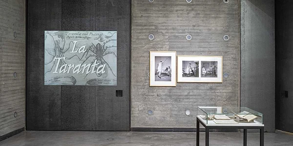 La picadura de la tarántula